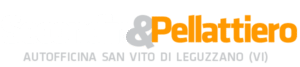 Logo Secondin e Pellattiero Bianco 600